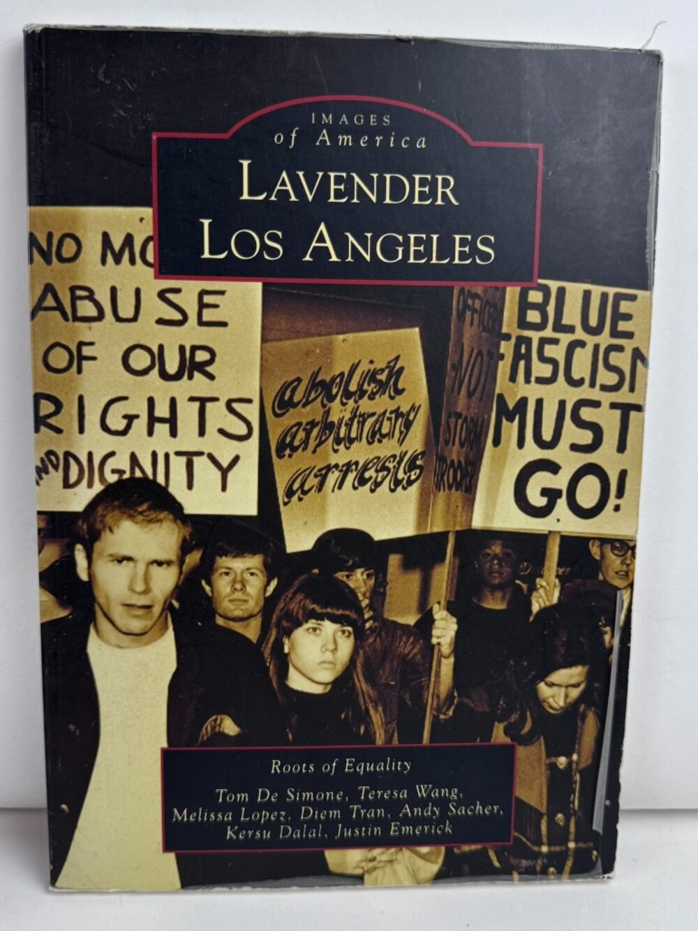 Lavender Los Angeles Images of America LGBTQ History Arcadia PB 9780738574905